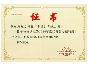 2024年度江省苏专精特新中小企业