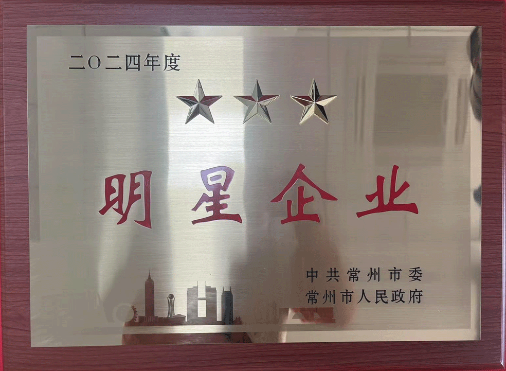 2024年明星企业奖